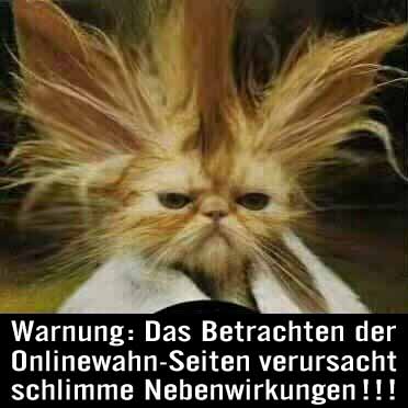 Der Katze stehen nach dem Baden die Haare zu Berge