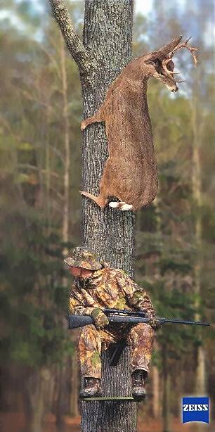 Zeiss-Werbung, Hirsch versteckt sich über dem Jäger auf dem Baum