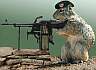 Aus Geldnot läßt die Bundeswehr
jetzt auch schon Tiere ans Gewehr.