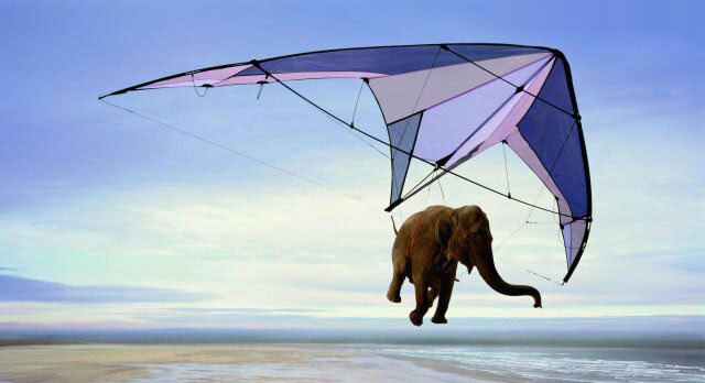 Fliegender Elefant mit Gleitschirm