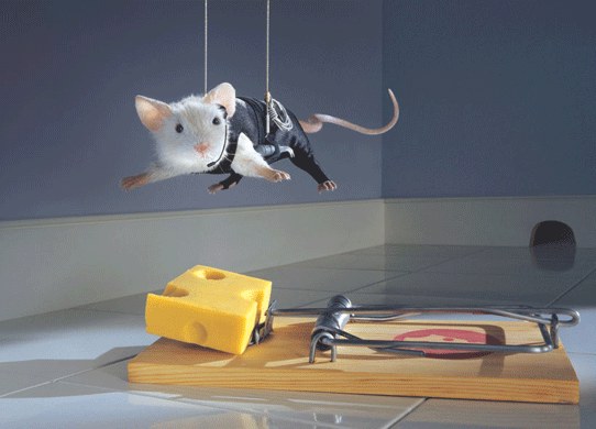 Mission Impossible, Maus hängt am Seil über dem Käse