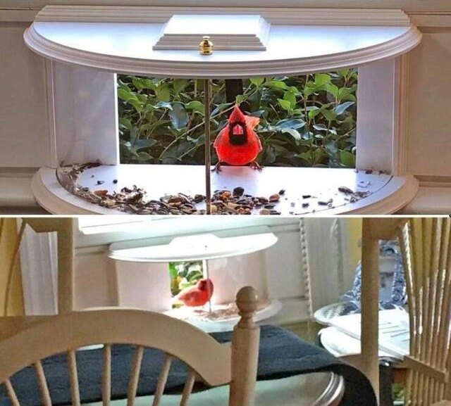 Bild des Monats November 2023