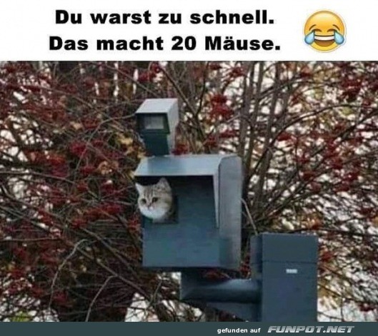 Bild des Monats Januar 2026