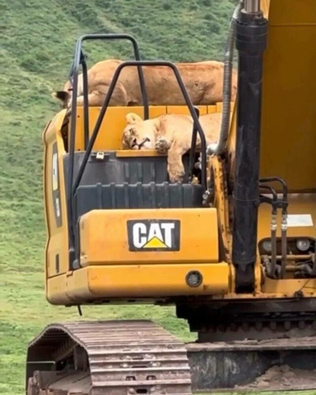 Bild des Monats Januar 2025