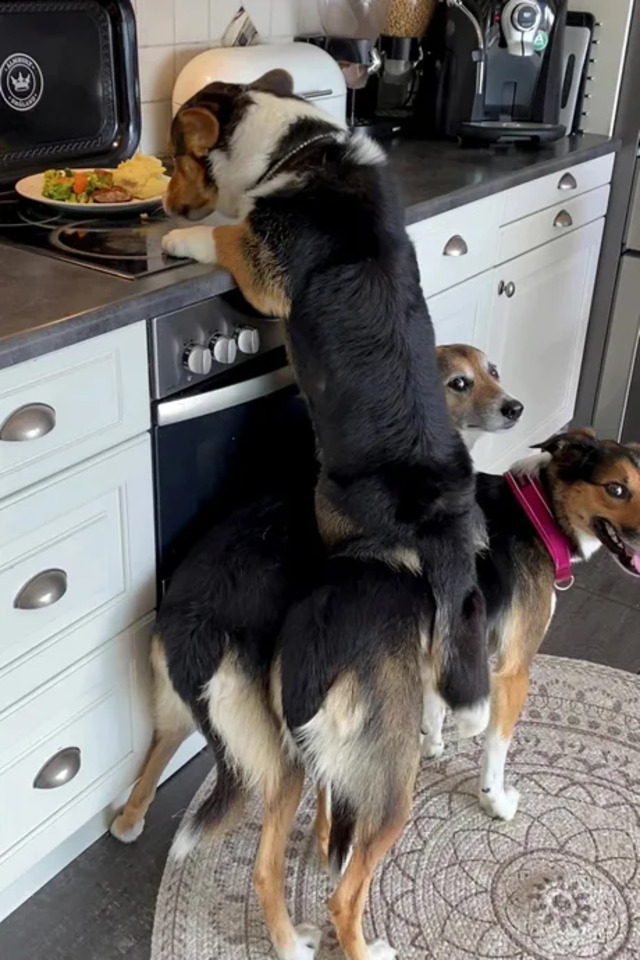 Bild des Monats M&auml;rz 2025