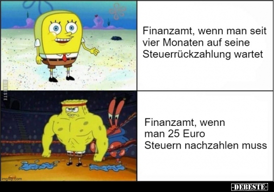 Best-Galerie, lustige Bilder