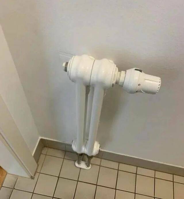 Best-Galerie, lustige Bilder