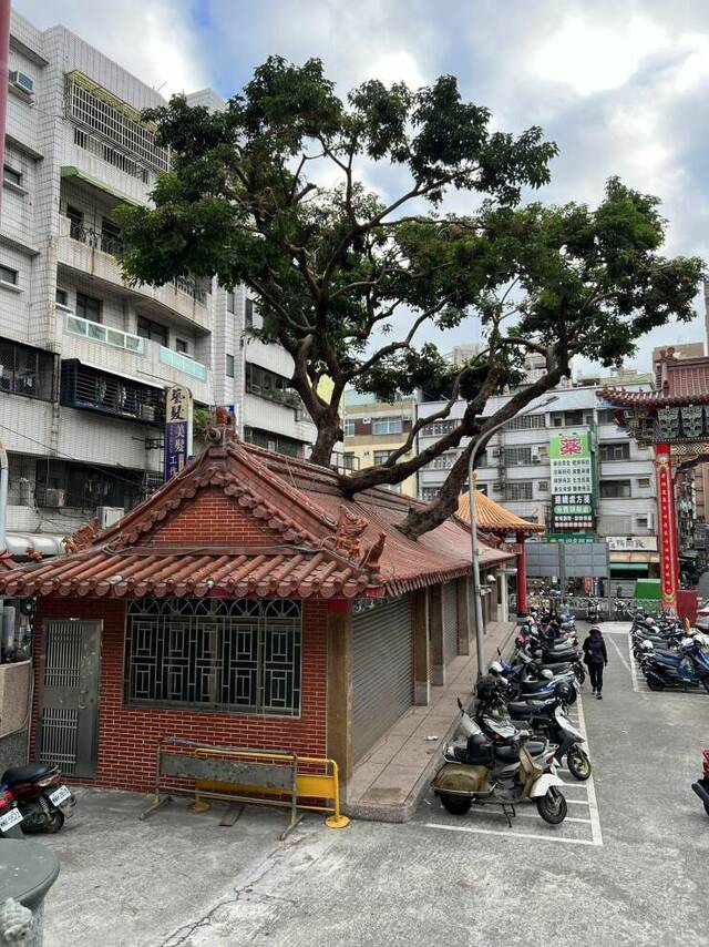 Best-Galerie, lustige Bilder