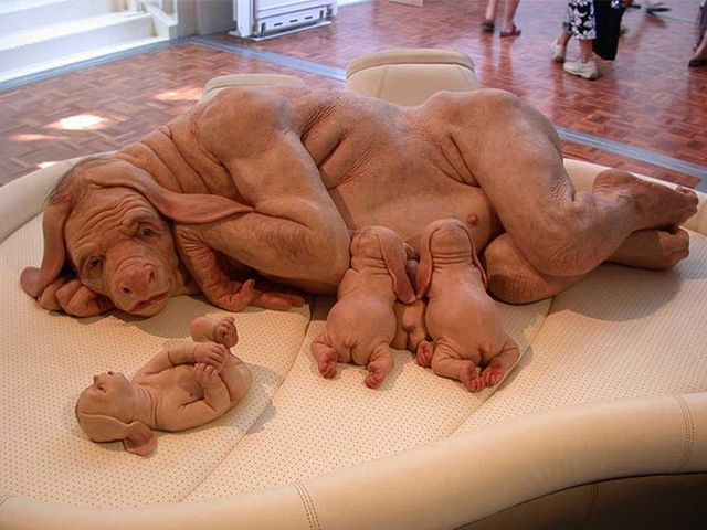 jeden Tag ein neues Foto