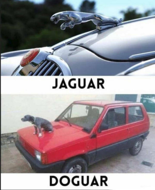 jeden Tag ein neues Foto