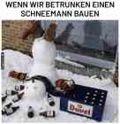 Das kuriose Bild des Tages