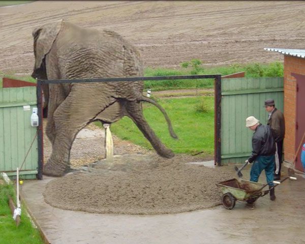 Überschwemmung im Zoo