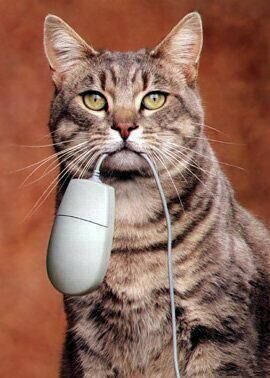 Katze mit Computermaus als Beute