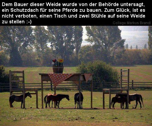 Bild des Monats November 2017