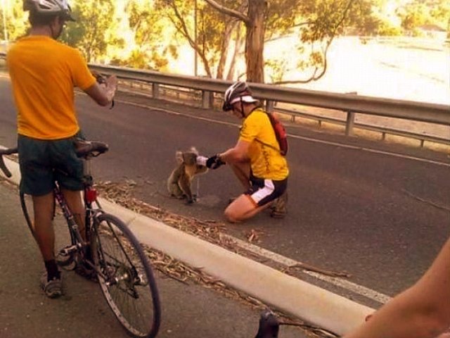 Bild des Monats Januar 2016