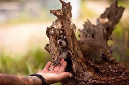 Bild des Monats Mai 2016