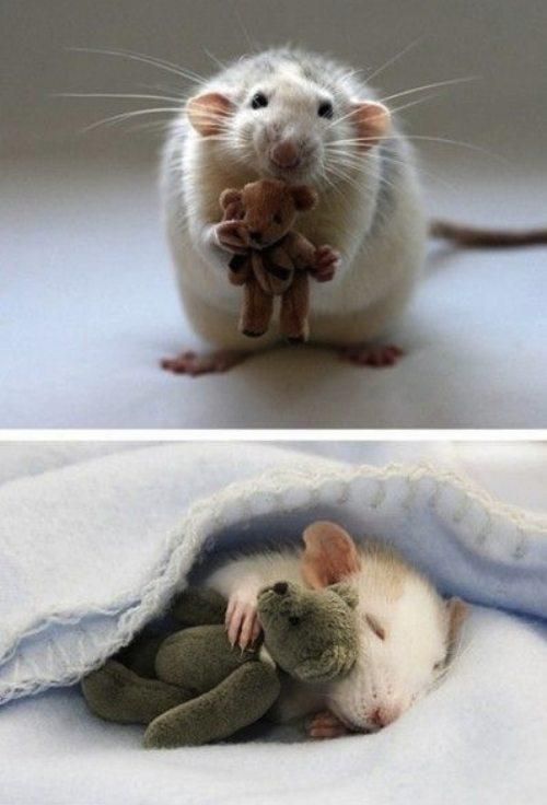 Bild des Monats Mai 2015