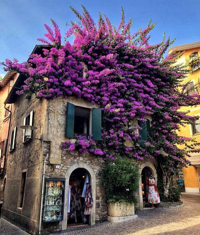 Bild des Monats August 2021