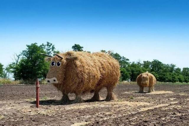 Bild des Monats Juli 2021