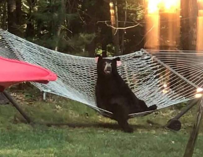 Bild des Monats Juli 2022