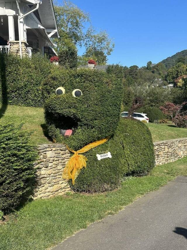 Bild des Monats Juli 2025