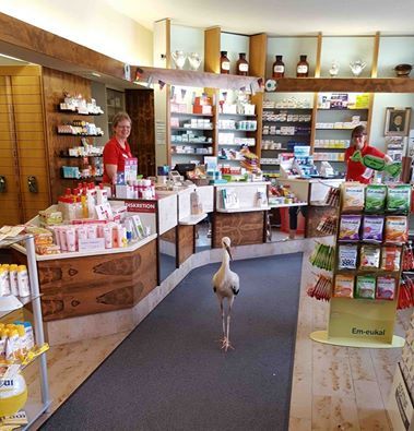 Bild des Monats M&auml;rz 2018