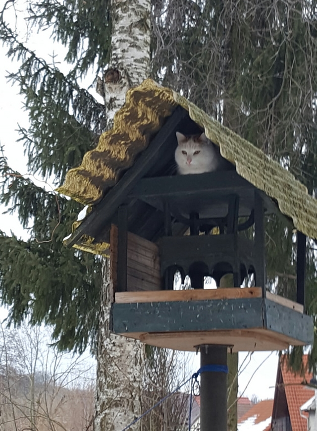 Bild des Monats M&auml;rz 2026