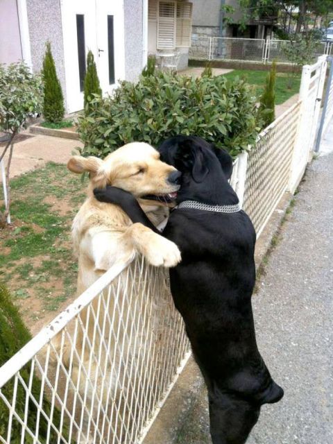 Bild des Monats M&auml;rz 2014