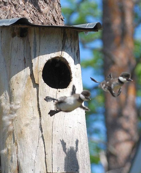 Bild des Monats M&auml;rz 2017