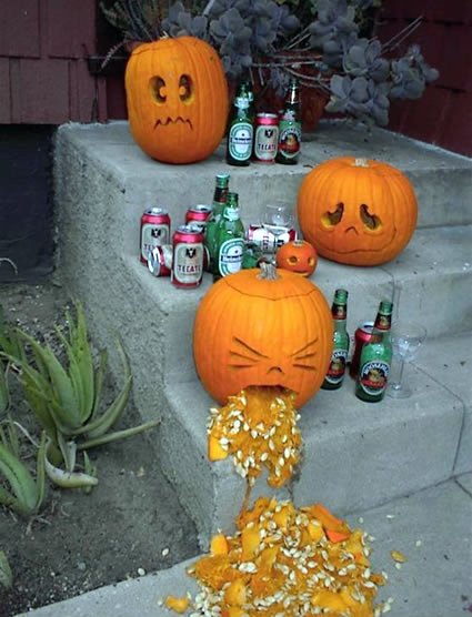 Bild des Monats Oktober 2009