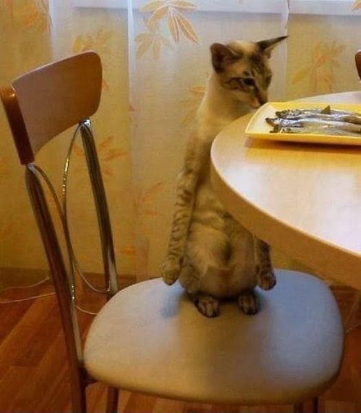 Bild des Monats Juni 2017