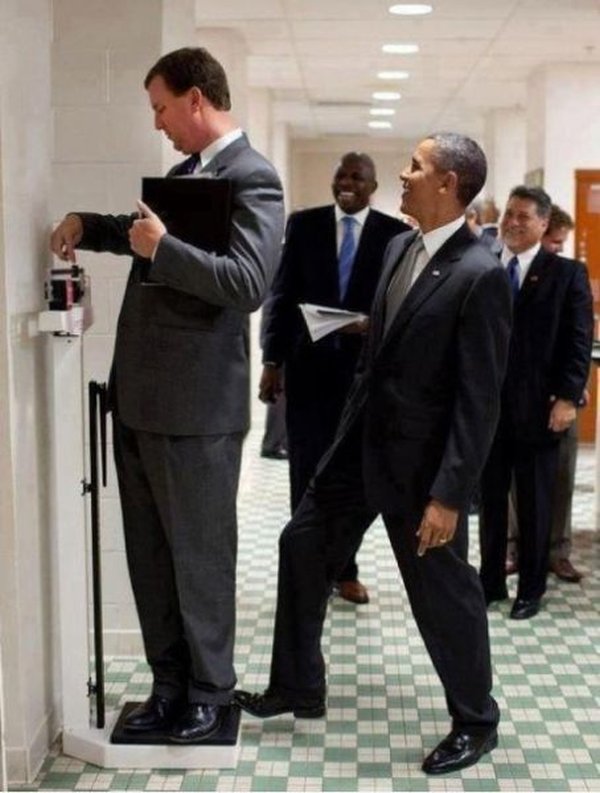 Bild des Monats Juni 2012