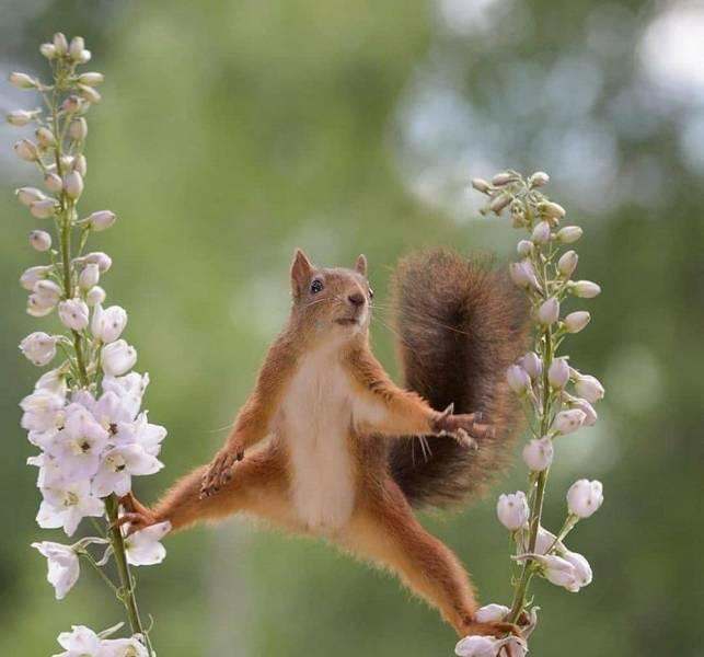 Bild des Monats Juni 2022