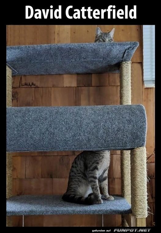 Best-Galerie, lustige Bilder