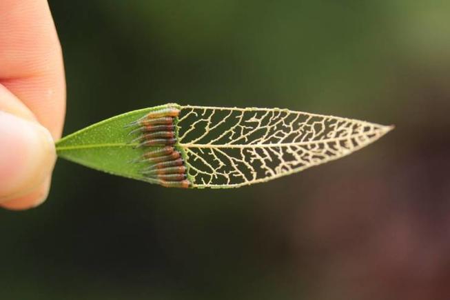 Best-Galerie, lustige Bilder