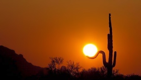 Best-Galerie, lustige Bilder