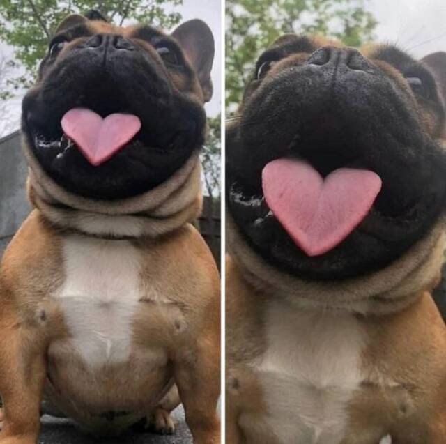 jeden Tag ein neues Foto