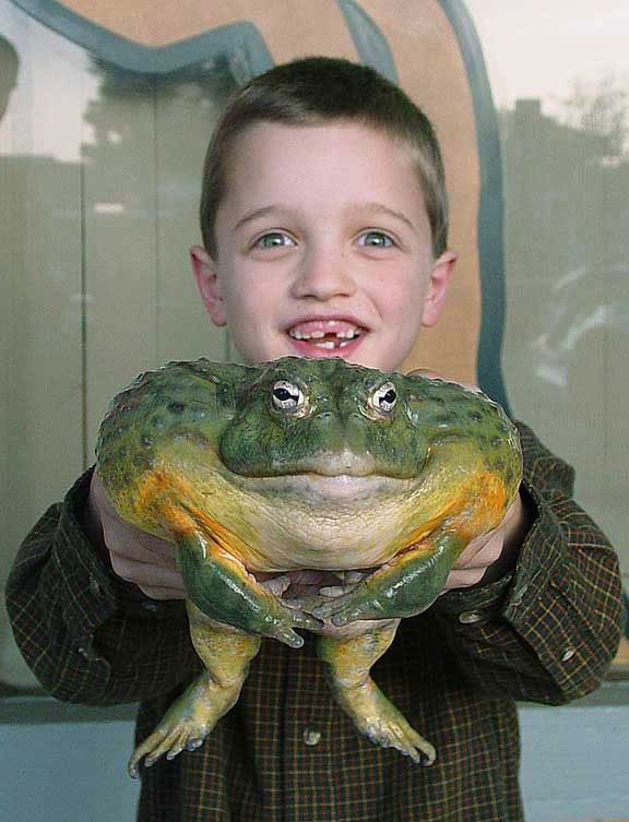 Junge mit riesigem Frosch