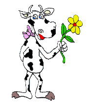 Wolle Blume kaufen?