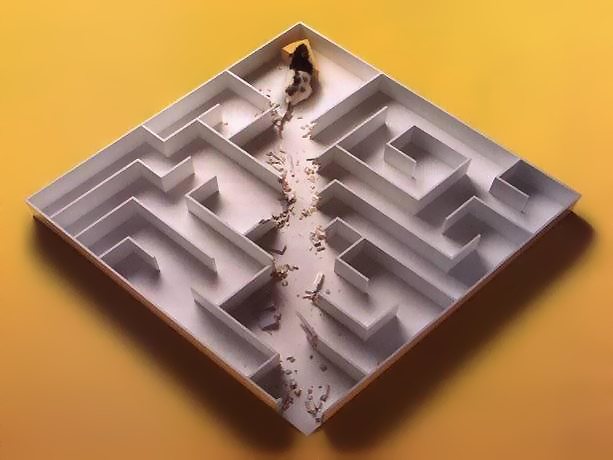 Maus durchbricht Wände im Labyrinth